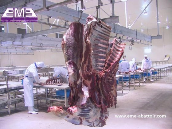 用于肉类加工的屠宰场设备 去骨切割三层输送机