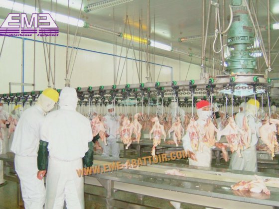 工場価格の二重ユニット鶏の砂肝内皮むき機、家禽屠殺設備、砂肝の油を取り除くためのもの