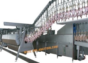 家禽屠殺場用の carcass 洗浄機器