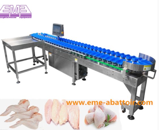自動重量検査グレーディングスケール計量仕分け機器家禽屠殺設備