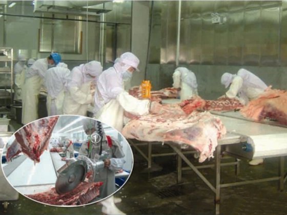 新しいカスタマイズデザイン工場価格自動屠殺機肉骨抜きベルトコンベヤー屠殺場設備