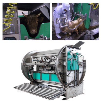 穆斯林清真活牛仪式 清真杀牛箱 牛屠宰场设备