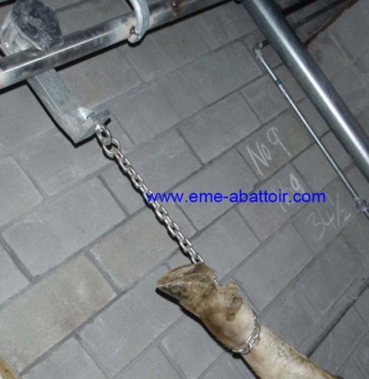 用于牛肉加工机械的高强度牛放血桎梏 牛屠宰场设备