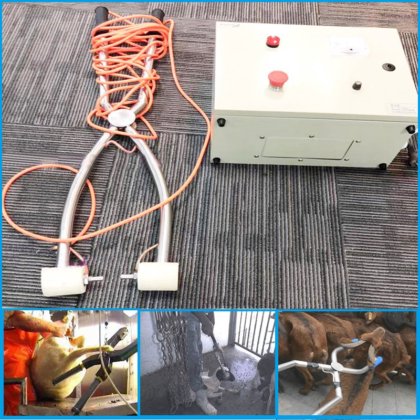 中国制造工厂生产的活猪惊蛰机 手动惊蛰设备