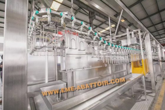 プロフェッショナル工場の家禽の血抜きと羽毛むしり自動コンベヤーレール鶏肉、アヒル、ガチョウの slaughter 機械