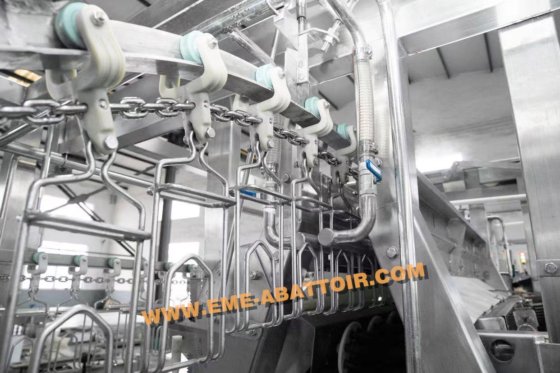 专业工厂家禽放血和拔毛自动输送轨道鸡鸭鹅屠宰机