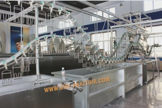 プロフェッショナル工場の家禽の血抜きと羽毛むしり自動コンベヤーレール鶏肉、アヒル、ガチョウの slaughter 機械