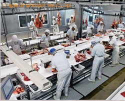 回転式ピジョンホールテーブル肉処理機械屠殺場用