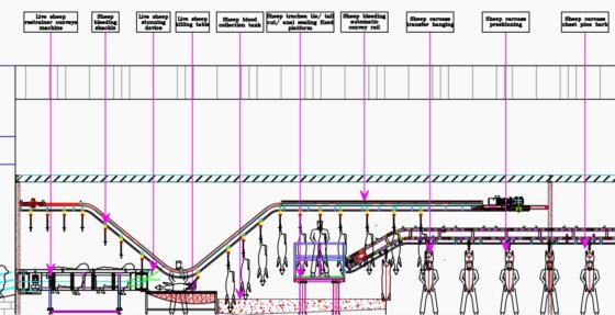 用于屠宰场的 2000-3000 只羊/天全自动绵羊山羊屠宰设备羊肉羊肉胴体加工生产线