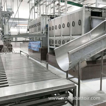 用于屠宰厂和屠宰场设备的先进猪头脱毛屠宰机