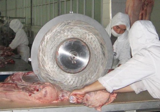 牛肉機械切断鋸 牛 牛肉 屠殺場 処理
