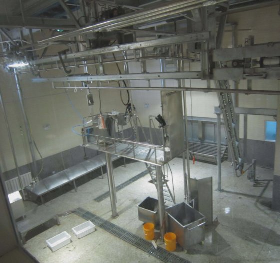 用于牛肉加工厂的牛羊猪屠宰杀台屠宰设备