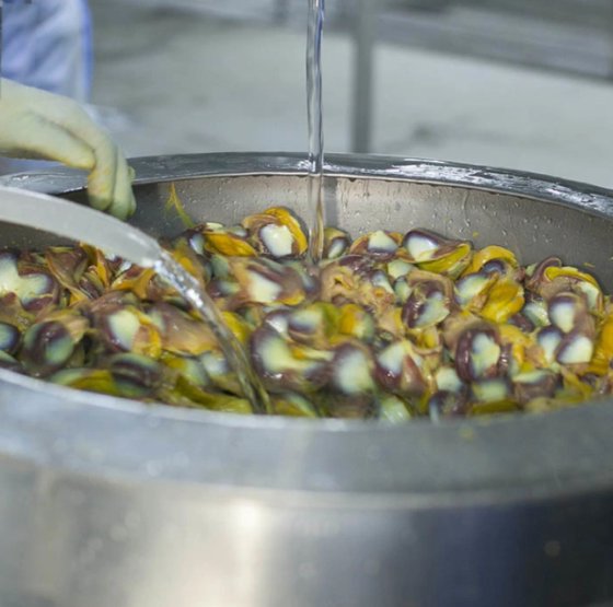 鸡屠宰场鸡胗处理机 去油装置 鸭屠宰设备