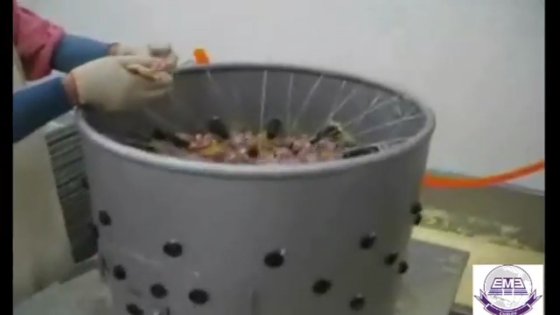 鸡屠宰场鸡胗处理机 去油装置 鸭屠宰设备