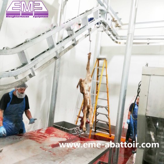 活羊清真杀箱机 山羊屠宰机 屠宰场设备