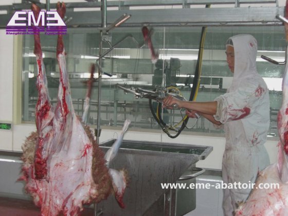 中国の羊屠殺用具と設備、屠殺場の処理用