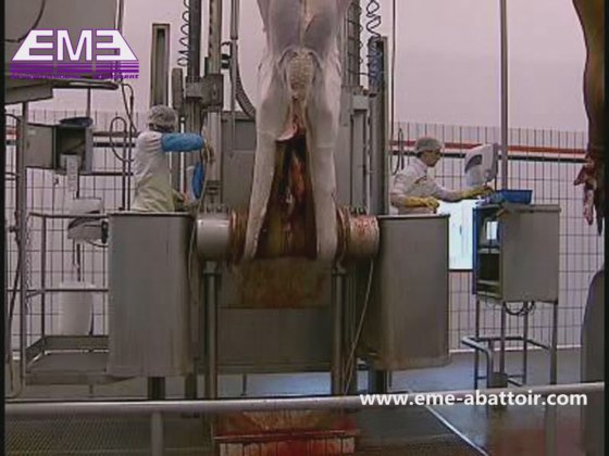 牛皮剥ぎエレベーター屠殺場設備