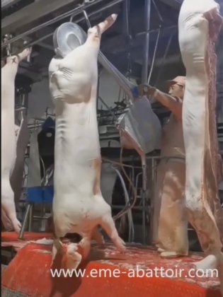 自动肉类加工机 牛屠宰场分割锯 牛 猪屠宰场设备