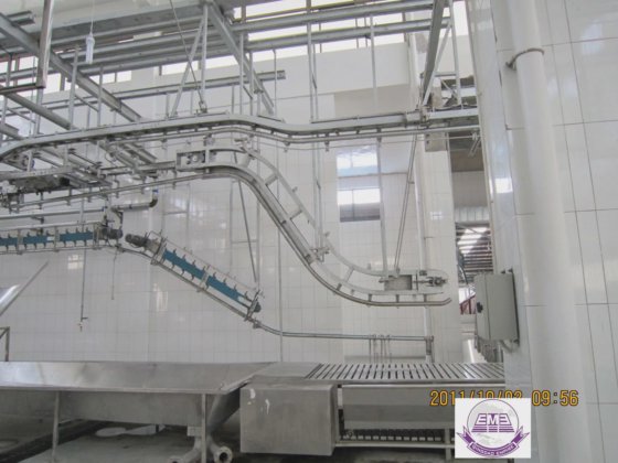 用于肉类加工厂的生猪放血斜坡提升屠宰设备