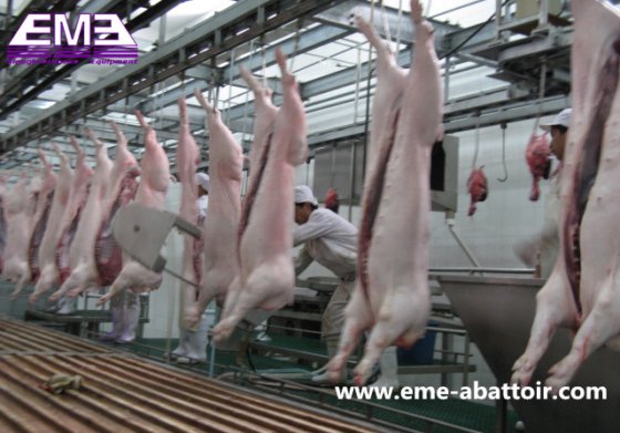自動肉処理豚屠殺機械 ホッグブッチャーアバトワールライン屠殺場