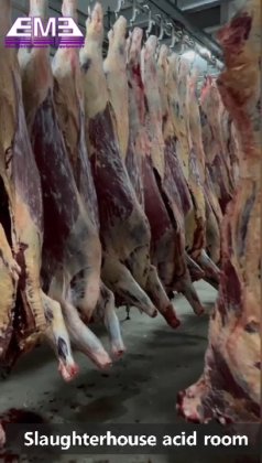 農業機械屠殺設備牛屠殺機牛の carcass 輸送レール