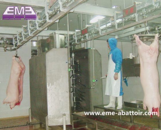 生猪抛光机 屠宰场设备 带自动化设计的屠宰场设备