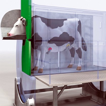 用于牛屠宰线的活牛剔晕箱牛设备