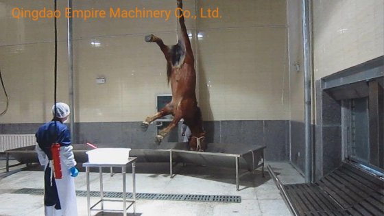 牛采血槽 牲畜屠宰场屠宰设备