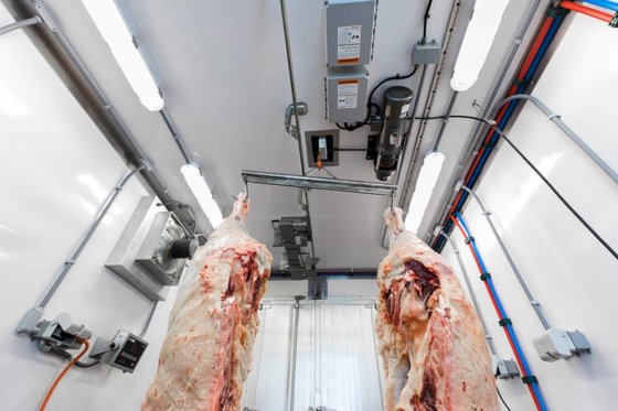 コンパクトな牛、羊、豚、鶏の slaughter line モバイルコンテナ屠殺場