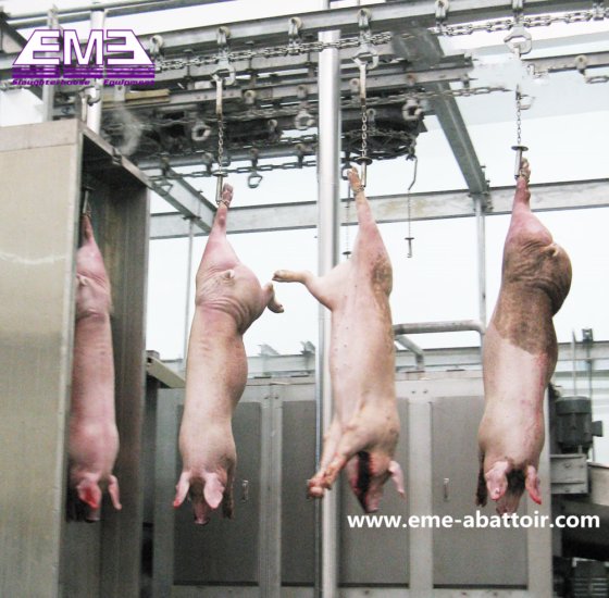 プロフェッショナル豚肉処理ライン機械屠殺設備屠殺場屠殺ライン