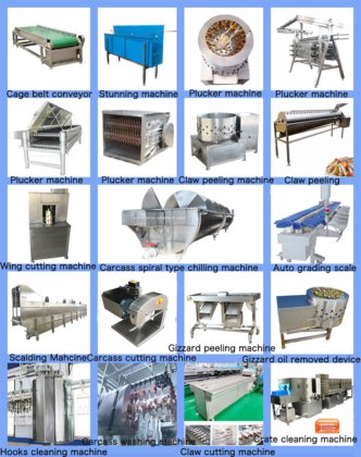 每小时 500 只鸡屠宰设备 家禽剥毛机