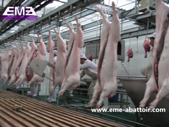牲畜屠宰场设备 屠宰机械 半胴体带状分割锯 猪屠宰场肉类加工机械