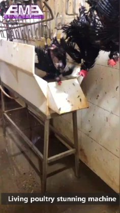 500 自動回転型爪切り機