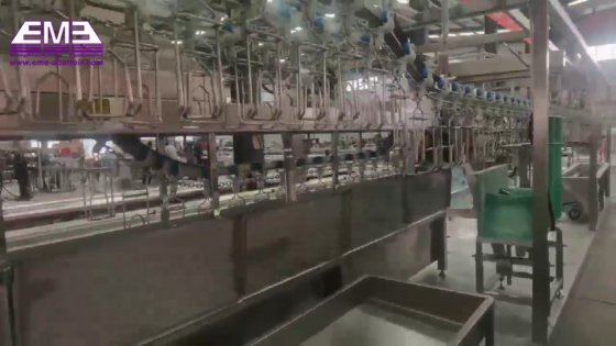 500 自動回転型爪切り機