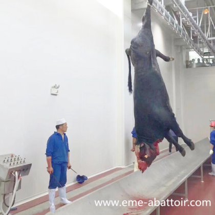 自動屠殺機 牛の出血 自動搬送レール 食肉処理場用設備