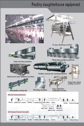 新型定制设计活禽笼自动升降系统 鸡肉加工设备屠宰场机器