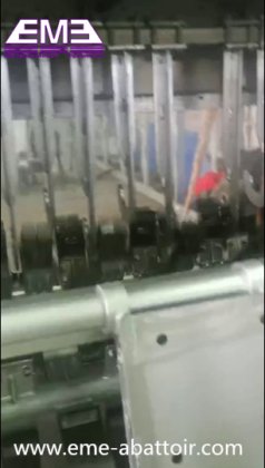 新生产的每小时 10-80 头猪胴体脱毛机-100