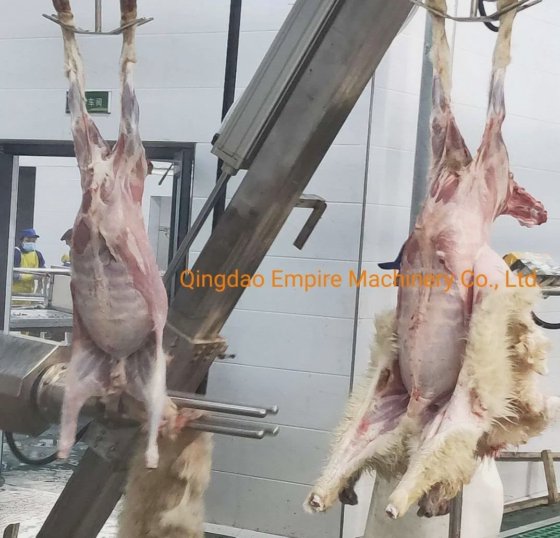 肉処理機械 羊 ハラール殺害ボックス 山羊 食肉処理機器