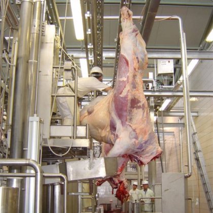 牛屠宰场设备 白色内脏清除平台 屠宰场机械