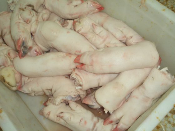 高効率蹄毛除去機 殺処分設備 殺人場用機械