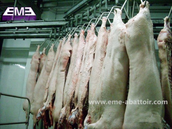 成套自动生猪屠宰线机械 屠宰场机械 肉类加工机械 屠体白内脏剥离平台