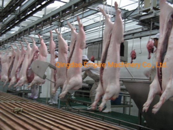 90%off 400pig 時間あたりハラール分割鋸 完全な豚家畜屠殺ライン機械