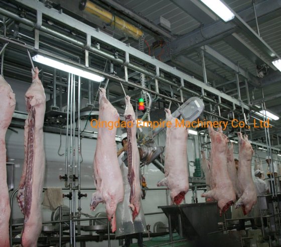 每小时 400 头生猪清真分割锯整套生猪家畜屠宰线设备 90% 折扣