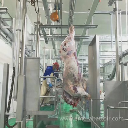 高性能ステンレス鋼製のキャラッシングソー 牛屠殺設備 牛肉処理機械