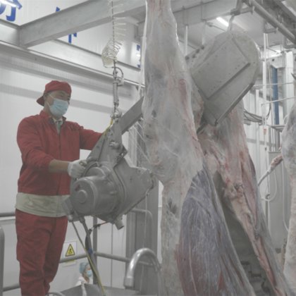 高性能ステンレス鋼製のキャラッシングソー 牛屠殺設備 牛肉処理機械