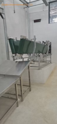 羊屠殺用の拘束ベルトコンベヤー機械