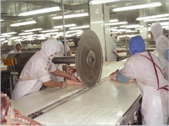 屠宰场生产线 肉类加工分割机 猪屠宰设备