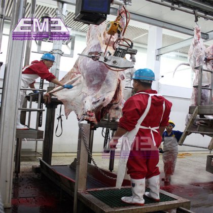 自動屠殺機器 牛皮引き剥がし機 牛の皮を剥がす機械 牛肉処理場用機械