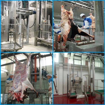 自動屠殺機器 牛皮引き剥がし機 牛の皮を剥がす機械 牛肉処理場用機械