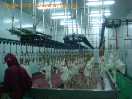 家禽设备 屠宰场采血池